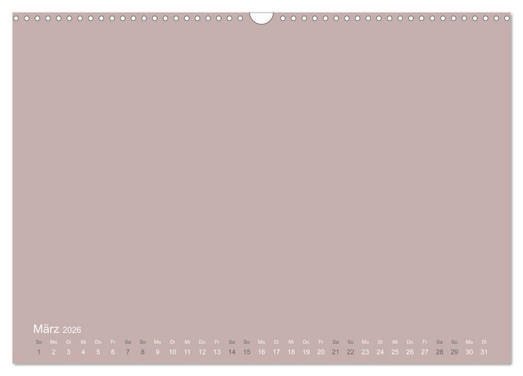 Produktbild: DIY Bastel-Kalender -Erdige Pastell Farben- Zum Selbstgestalten (Wandkalender 2026 DIN A3 quer), CALVENDO Monatskalender
