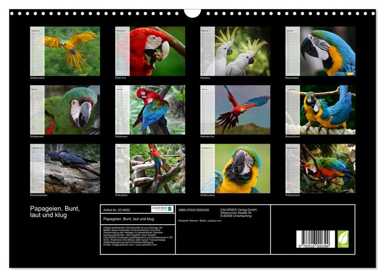 Produktbild: Papageien. Bunt, laut und klug (Wandkalender 2026 DIN A3 quer), CALVENDO Monatskalender