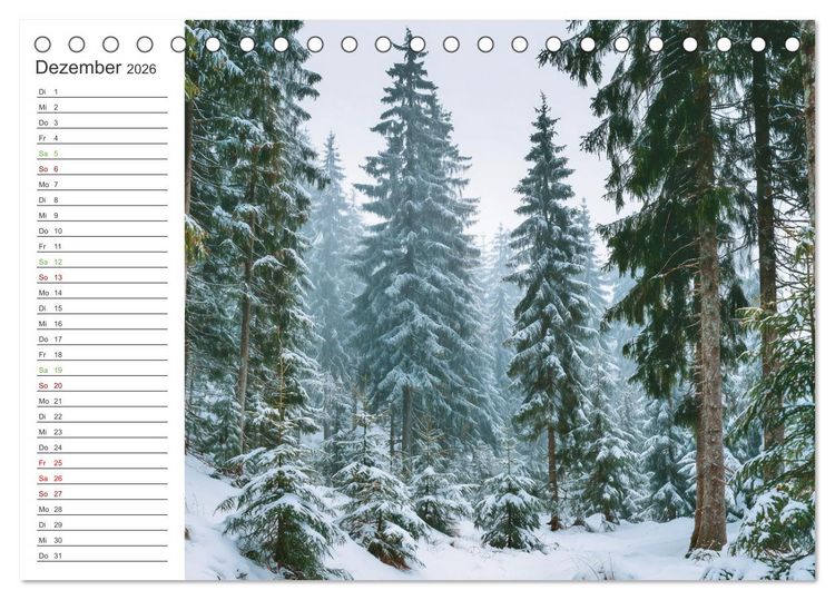Produktbild: Gr&uuml;ne Zukunft (Tischkalender 2026 DIN A5 quer), CALVENDO Monatskalender