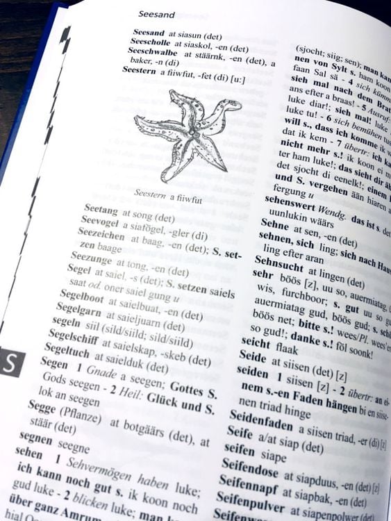 Produktbild: W&ouml;rterbuch Deutsch - Amrumer Friesisch / wurdenbuk sjiisk - &ouml;&ouml;mrang