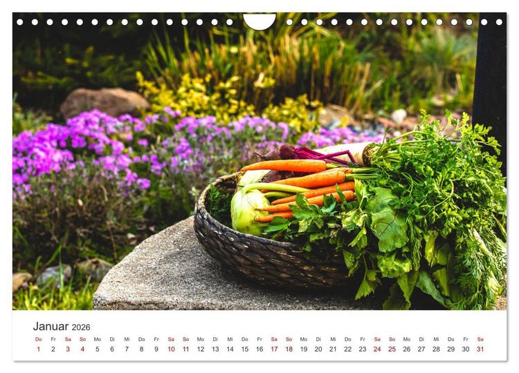 Produktbild: Frisches aus dem Gem&uuml;segarten (Wandkalender 2026 DIN A4 quer), CALVENDO Monatskalender