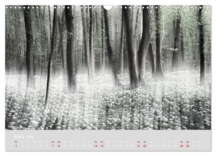 Produktbild: Im Lichtglanz der Jahreszeiten (Wandkalender 2026 DIN A3 quer), CALVENDO Monatskalender