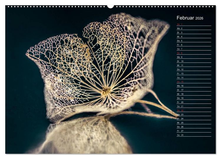 Produktbild: Die Hortensie und ihre vielen Gesichter (hochwertiger Premium Wandkalender 2026 DIN A2 quer), Kunstdruck in Hochglanz