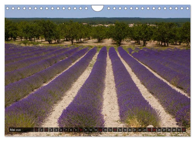 Produktbild: Le Midi - Impressionen aus Frankreichs S&uuml;den (Wandkalender 2026 DIN A4 quer), CALVENDO Monatskalender