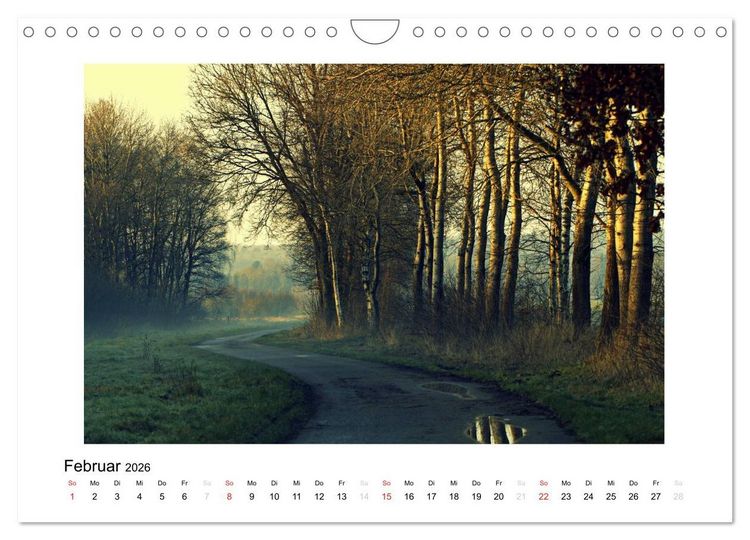 Produktbild: Winter im Teufelsmoor (Wandkalender 2026 DIN A4 quer), CALVENDO Monatskalender