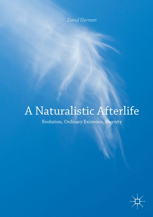 Produktbild: A Naturalistic Afterlife