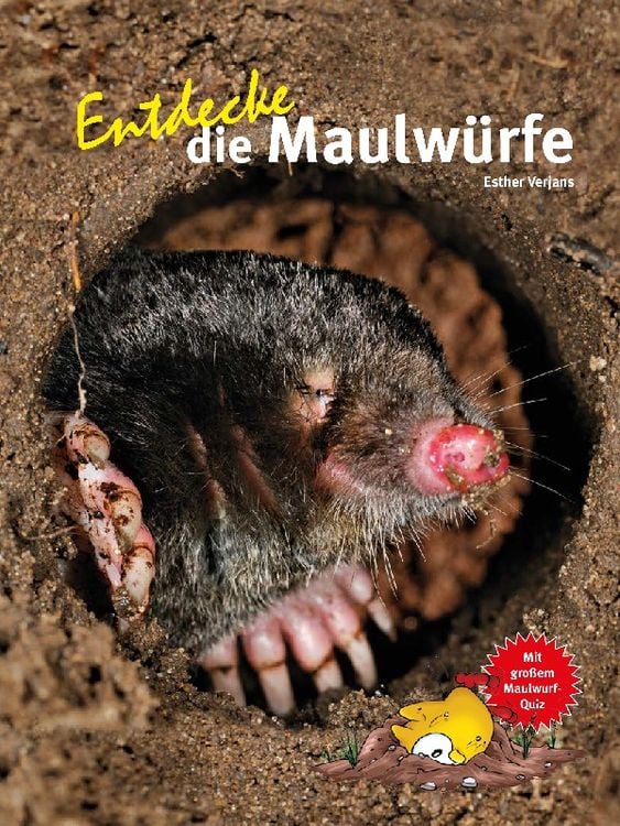 Produktbild: Entdecke die Maulwürfe