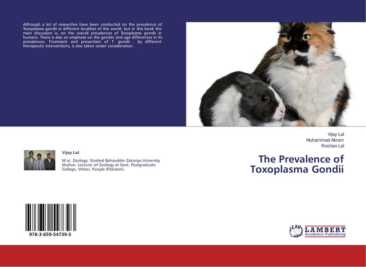 Produktbild: The Prevalence of Toxoplasma Gondii