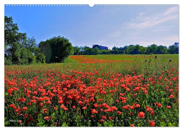 Produktbild: Toskana &ndash; Magie der Farben (Wandkalender 2026 DIN A2 quer), CALVENDO Monatskalender