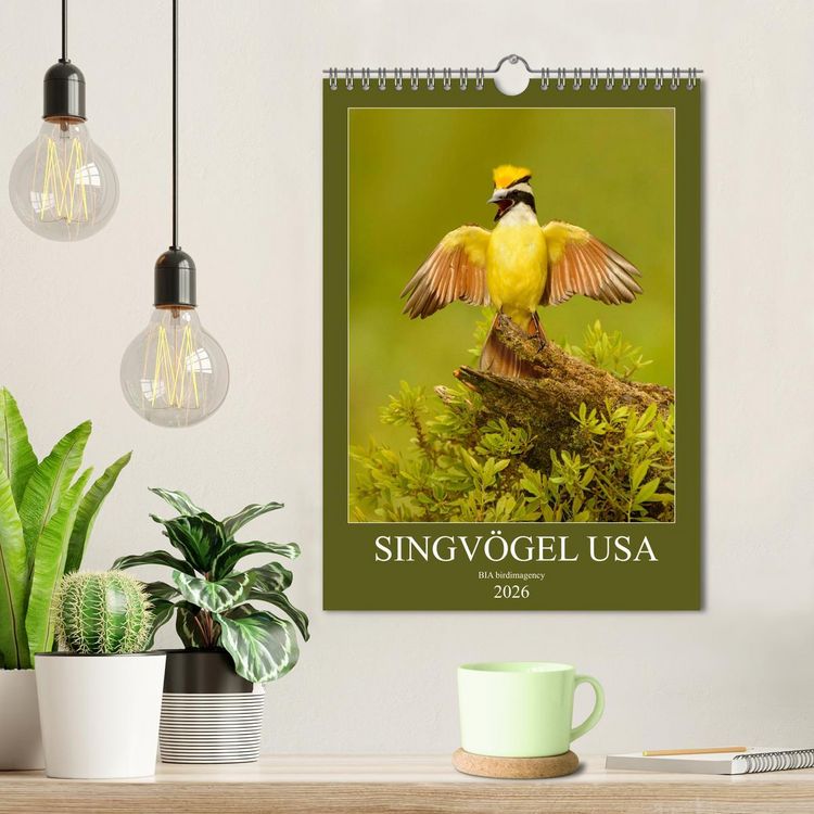 Produktbild: Singv&ouml;gel USA (Wandkalender 2026 DIN A4 hoch), CALVENDO Monatskalender