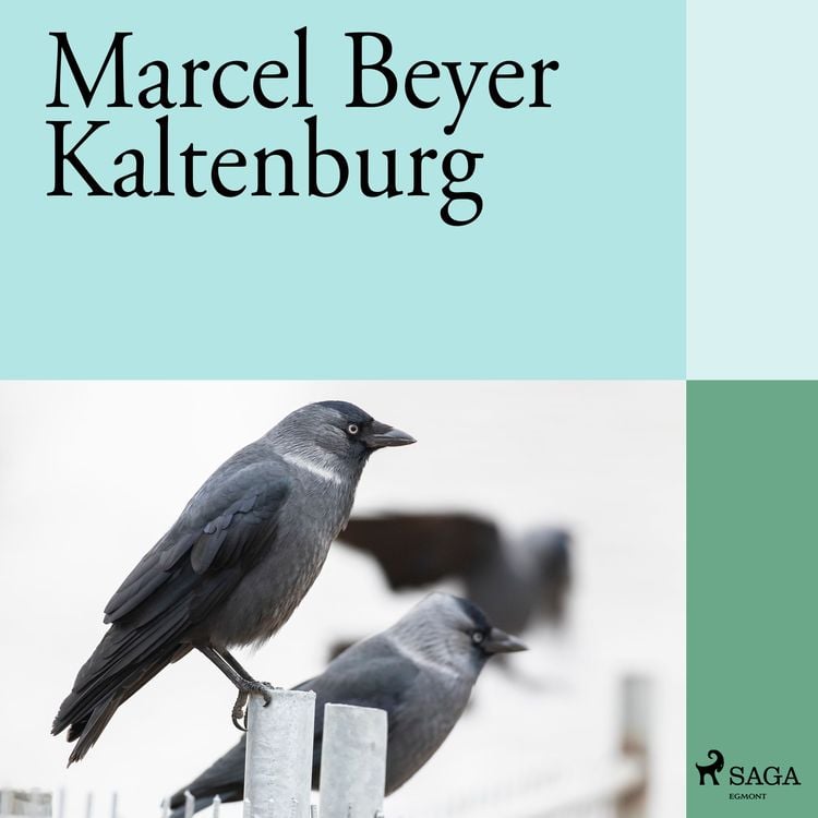 Produktbild: Kaltenburg