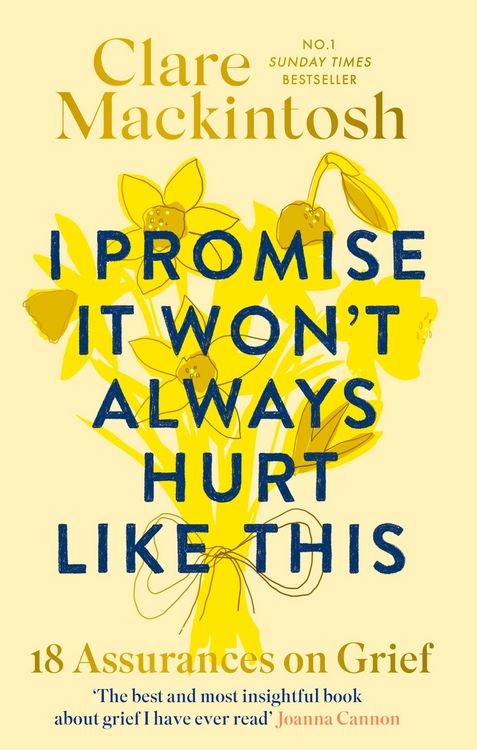 Produktbild: I Promise It Won't Always Hurt Like This