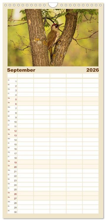 Produktbild: Familienplaner 2026 - V&ouml;gel ganz nah mit 5 Spalten (Wandkalender, 21 x 45 cm) CALVENDO