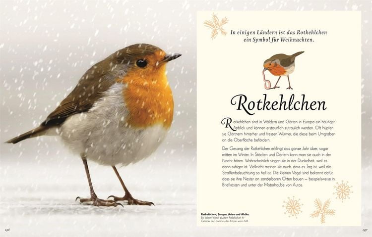 Produktbild: Wundervolle Welt der V&ouml;gel