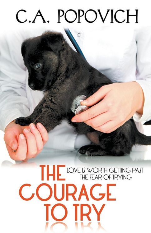 Produktbild: The Courage to Try