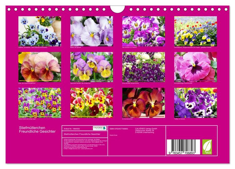 Produktbild: Stiefm&uuml;tterchen Freundliche Gesichter (Wandkalender 2026 DIN A4 quer), CALVENDO Monatskalender