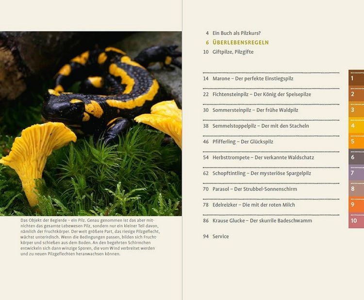 Produktbild: 10 Pilze