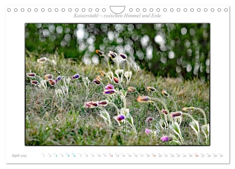 Produktbild: Kaiserstuhl zwischen Himmel und Erde (Wandkalender 2026 DIN A4 quer), CALVENDO Monatskalender