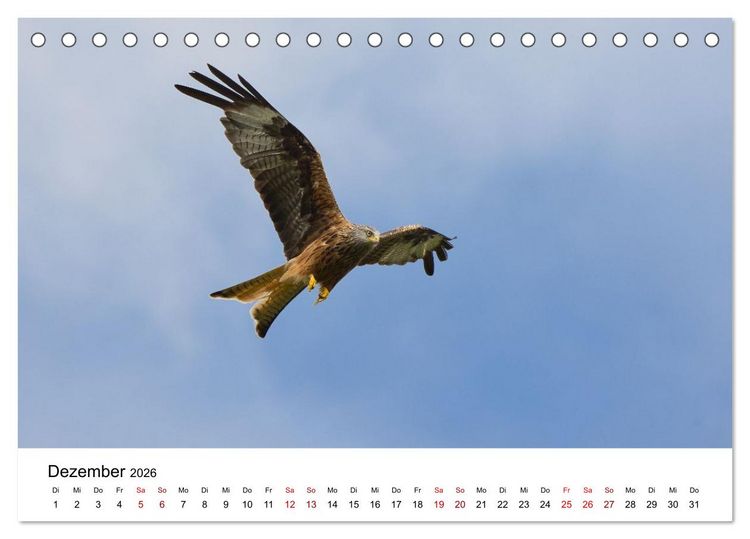 Produktbild: Wales Land der Sehensw&uuml;rdigkeiten, Landschaften und Natur (Tischkalender 2026 DIN A5 quer), CALVENDO Monatskalender