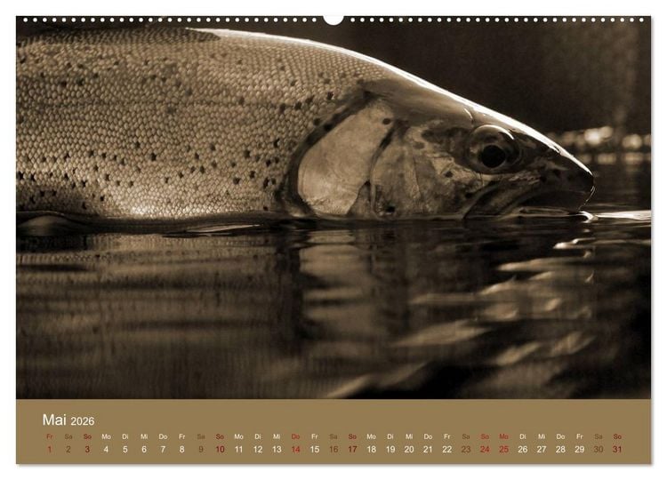 Produktbild: Fliegenfischen (Wandkalender 2026 DIN A2 quer), CALVENDO Monatskalender