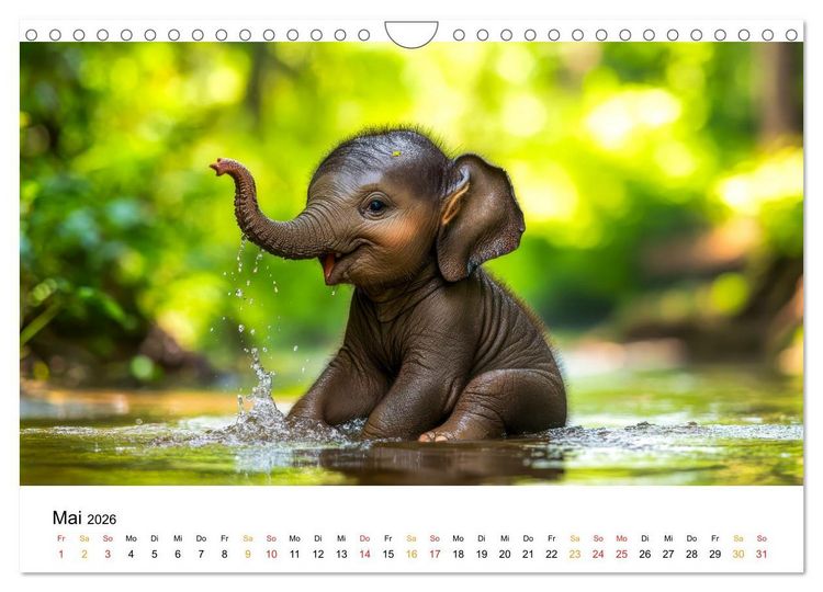 Produktbild: Elefanten Kinder - kleine Riesen (Wandkalender 2026 DIN A4 quer), CALVENDO Monatskalender
