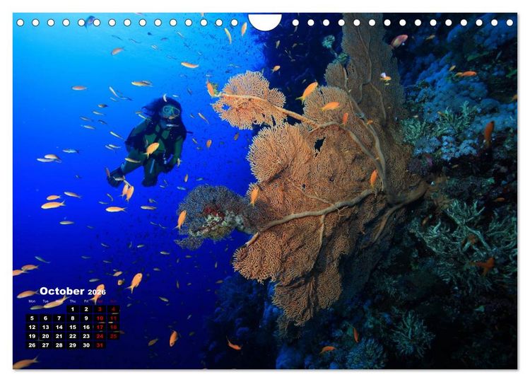 Produktbild: Magical Underwater World (Wall Calendar 2026 DIN A4 landscape), CALVENDO 12 Month Wall Calendar