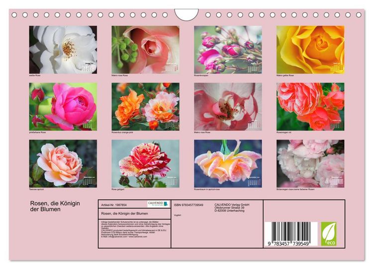 Produktbild: Rosen, die K&ouml;nigin der Blumen (Wandkalender 2026 DIN A4 quer), CALVENDO Monatskalender