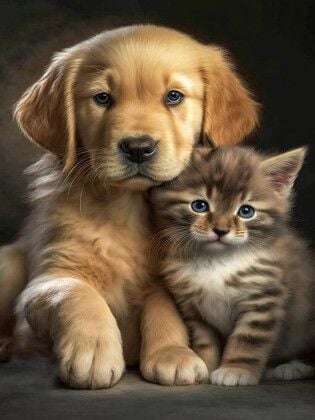 Produktbild: CALVENDO Puzzle Beste Freunde | 1000 Teile Lege-Gr&ouml;&szlig;e 64x48cm Foto-Puzzle f&uuml;r gl&uuml;ckliche Stunden