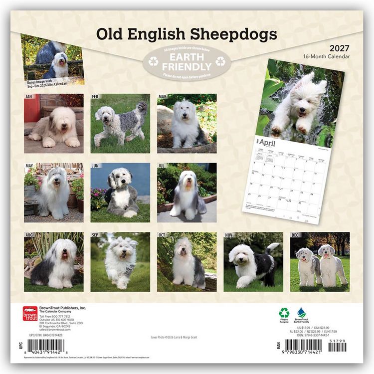 Produktbild: Old English Sheepdog &ndash; Bobtail &ndash; Altenglischer Sch&auml;ferhund 2027 &ndash; 16-Monatskalender