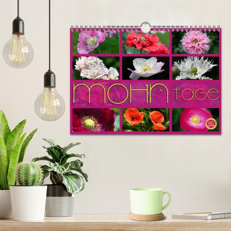 Produktbild: Mohn Tage (Wandkalender 2026 DIN A4 quer), CALVENDO Monatskalender
