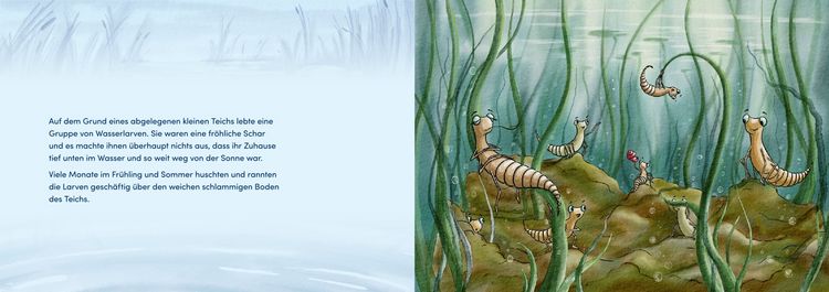 Produktbild: Von Larven und Libellen. Bilderbuch