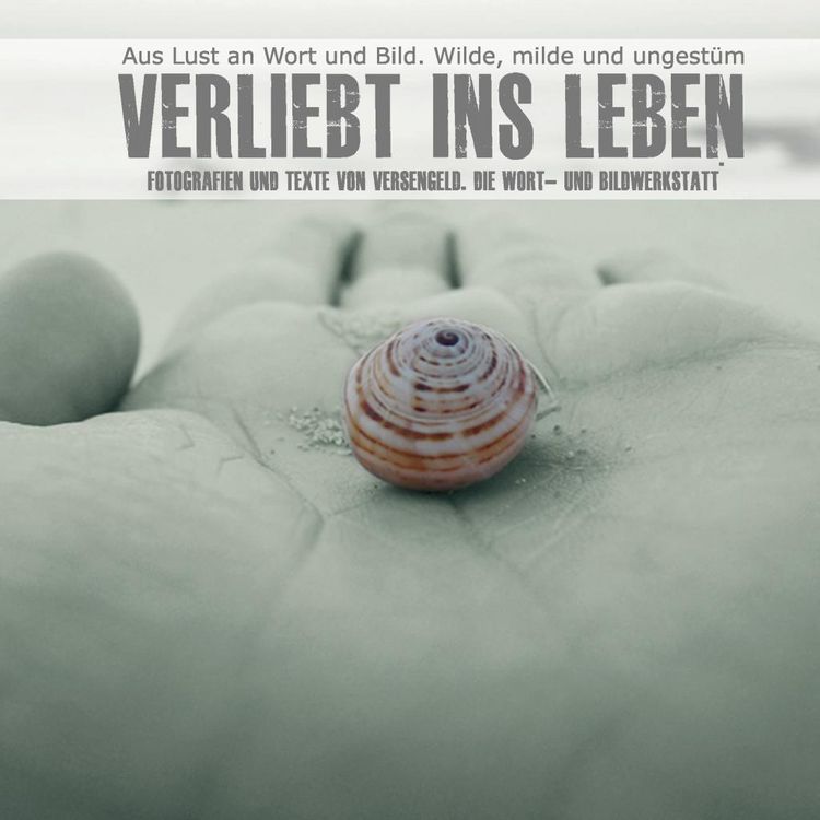 Produktbild: Verliebt ins Leben