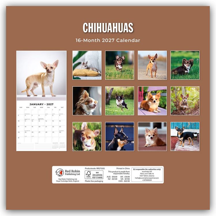 Produktbild: Chihuahuas &ndash; Chihuahua 2027 &ndash; 16-Monatskalender