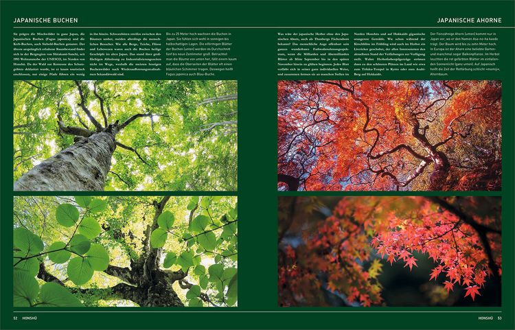 Produktbild: KUNTH Japan. Das Buch