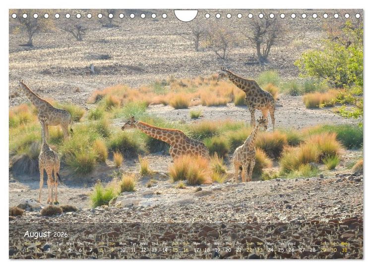 Produktbild: Namibia - African Beauty (Wall Calendar 2026 DIN A4 landscape), CALVENDO 12 Month Wall Calendar