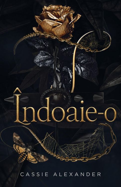 Produktbild: &Icirc;ndoaie-o