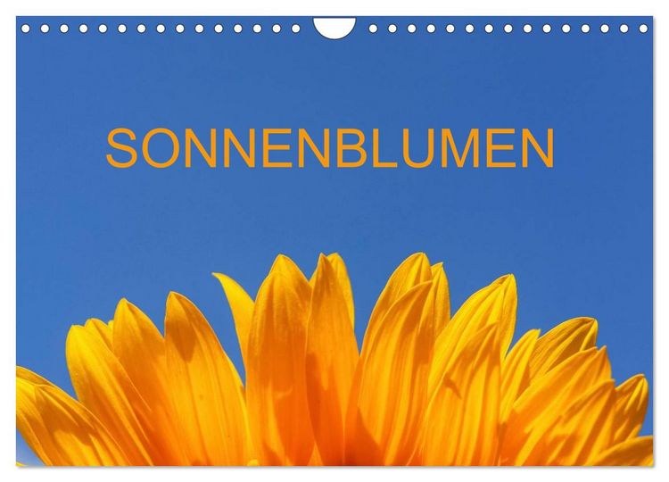 Produktbild: Sonnenblumen (Wandkalender 2026 DIN A4 quer), CALVENDO Monatskalender