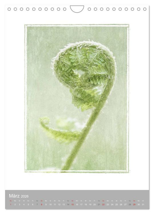 Produktbild: Kunstwerk Natur (Wandkalender 2026 DIN A4 hoch), CALVENDO Monatskalender