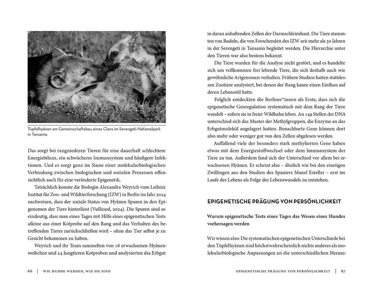 Produktbild: Die Epigenetik des Hundes