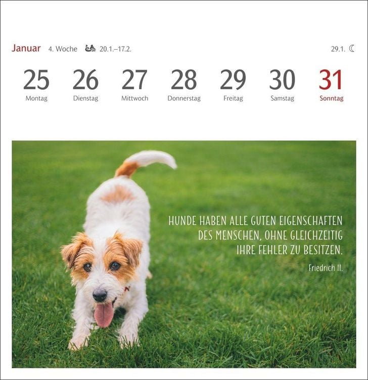 Produktbild: Hunde Premium-Postkartenkalender 2027 - Freunde auf vier Pfoten; Kalender mit 53 Postkarten