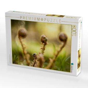 Produktbild: CALVENDO Puzzle Wurmfarn (Dryopteris filix-mas) | 1000 Teile Lege-Gr&ouml;&szlig;e 64x48cm Foto-Puzzle f&uuml;r gl&uuml;ckliche Stunden