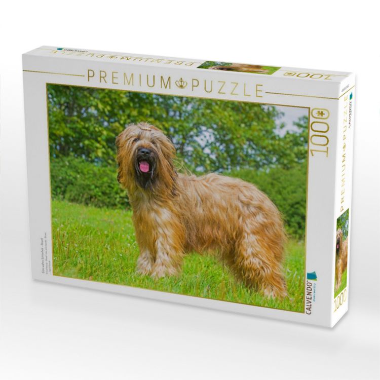 Produktbild: CALVENDO Puzzle Eine wahre Sch&ouml;nheit - Briard | 1000 Teile Lege-Gr&ouml;&szlig;e 64x48cm Foto-Puzzle f&uuml;r gl&uuml;ckliche Stunden