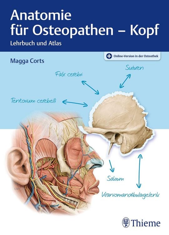 Produktbild: Anatomie f&uuml;r Osteopathen - Kopf