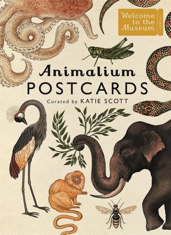 Produktbild: Animalium Postcards