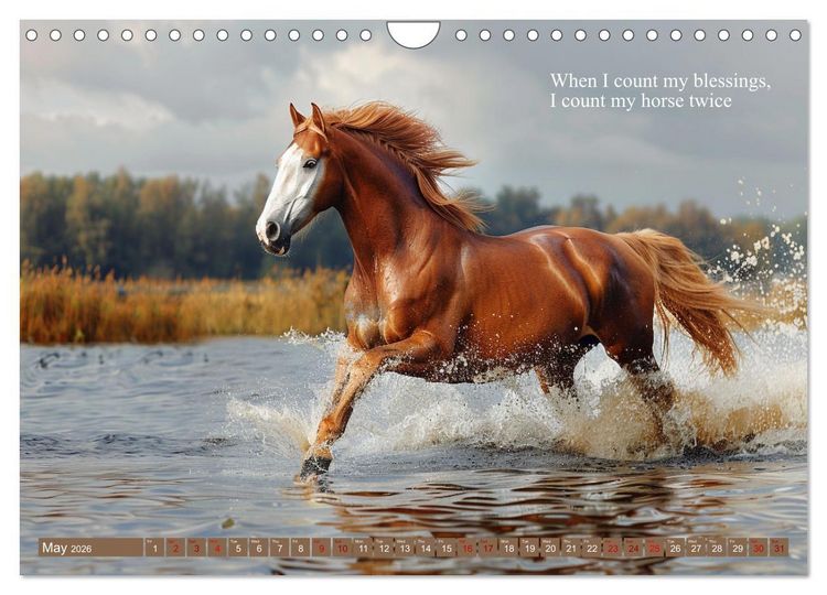 Produktbild: A Horse Makes You Complete (Wall Calendar 2026 DIN A4 landscape), CALVENDO 12 Month Wall Calendar