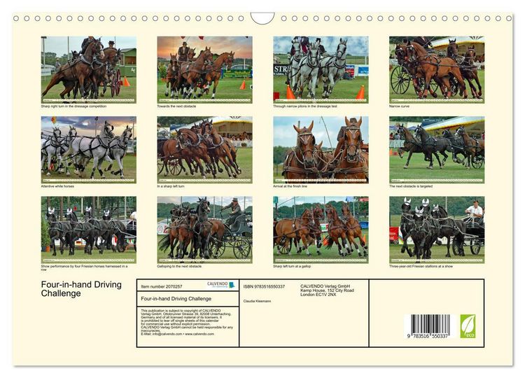 Produktbild: Four-in-hand Driving Challenge (Wall Calendar 2026 DIN A3 landscape), CALVENDO 12 Month Wall Calendar