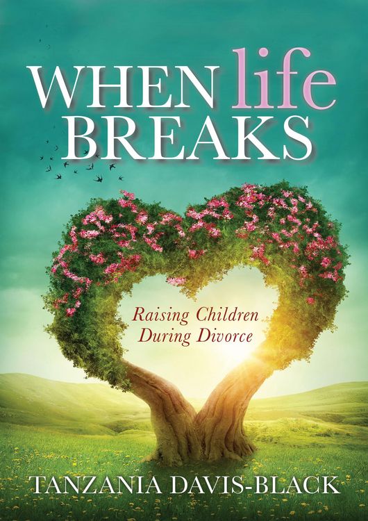 Produktbild: When Life Breaks