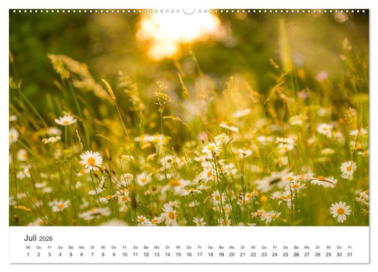 Produktbild: Die sch&ouml;nsten Blumenwiesen der Welt (hochwertiger Premium Wandkalender 2026 DIN A2 quer), Kunstdruck in Hochglanz