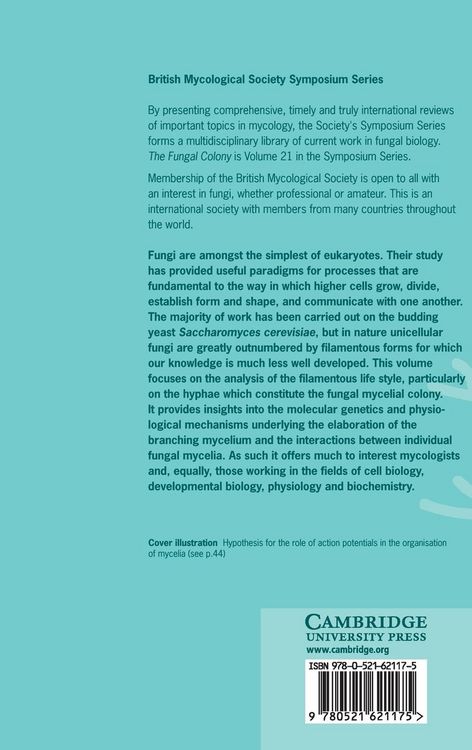 Produktbild: The Fungal Colony