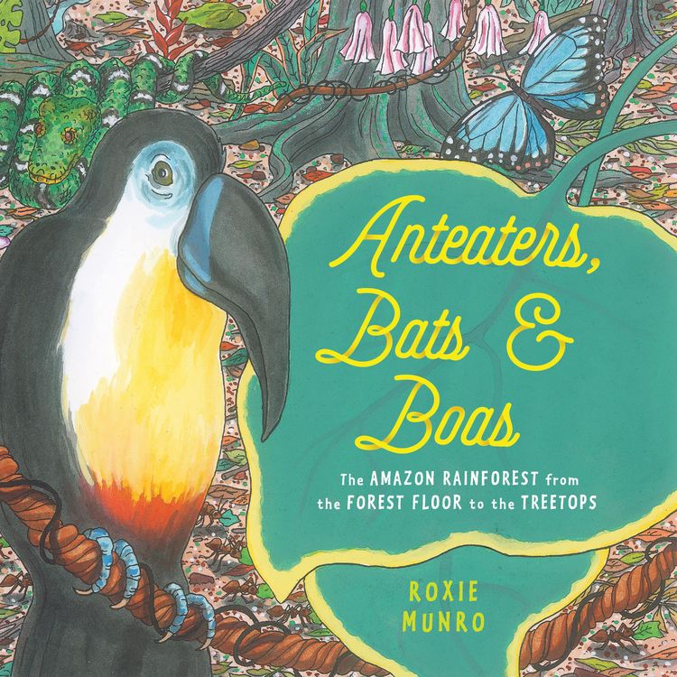 Produktbild: Munro, R: Anteaters, Bats & Boas